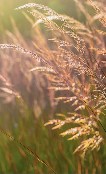 恆山建設 隨心慢序